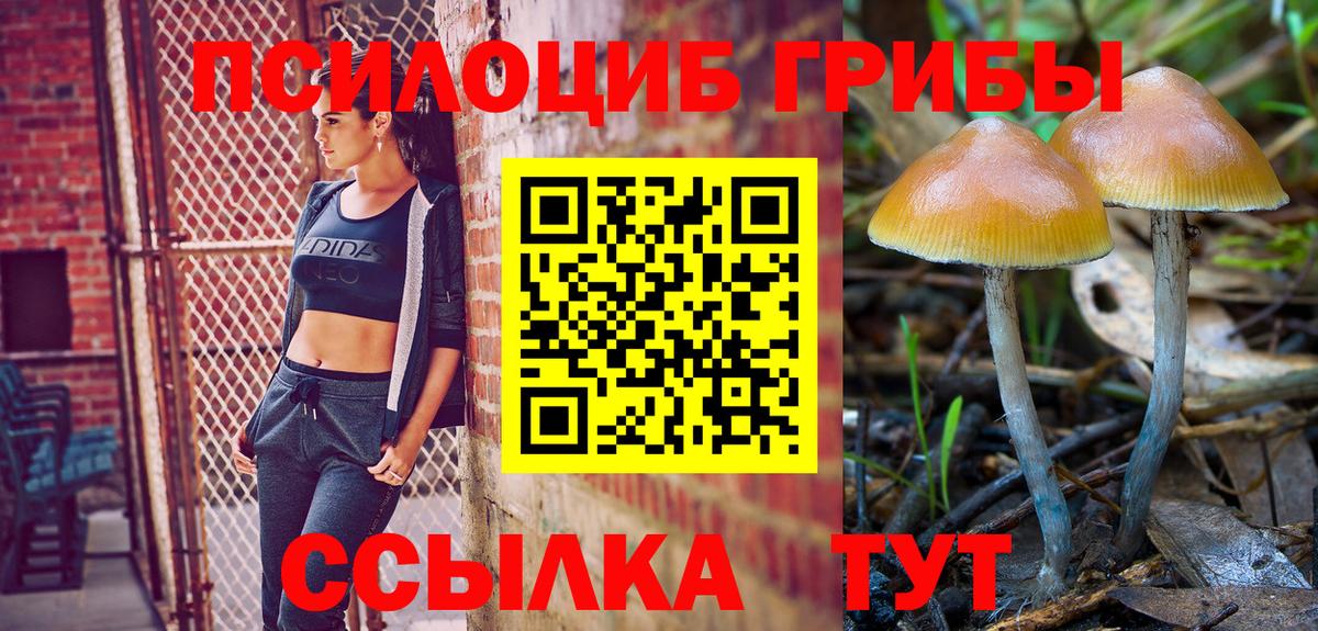 Павлово  Псилоцибиновые грибы MAGIC MUSHROOMS  Вход с VPN  Псилоцибиновые грибы MAGIC MUSHROOMS 