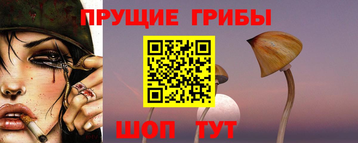 Галлюциногенные грибы мицелий Павлово